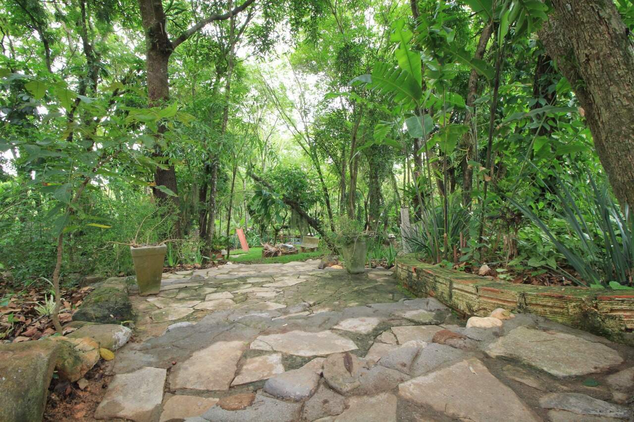 Chácara à venda no bairro Pires de Baixo: POMAR (EXTERNO FUNDO)