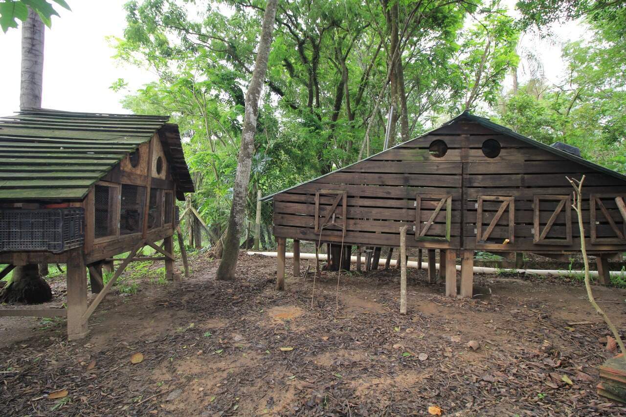 Chácara à venda no bairro Pires de Baixo: GALINHEIRO (EXTERNO FUNDO)