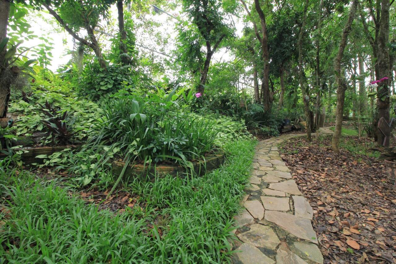 Chácara à venda no bairro Pires de Baixo: POMAR (EXTERNO FUNDO)