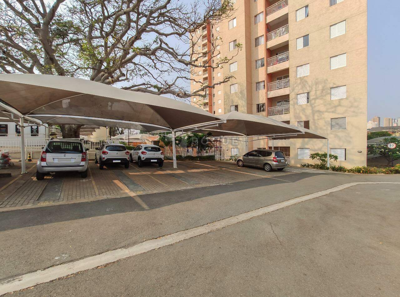 Apartamento para aluguel no bairro Vila Queiroz: 