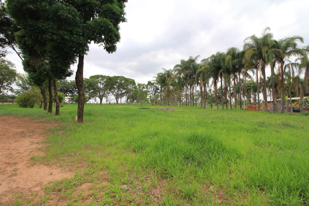 Terreno à venda no bairro SITIO SANTA MARIA: 