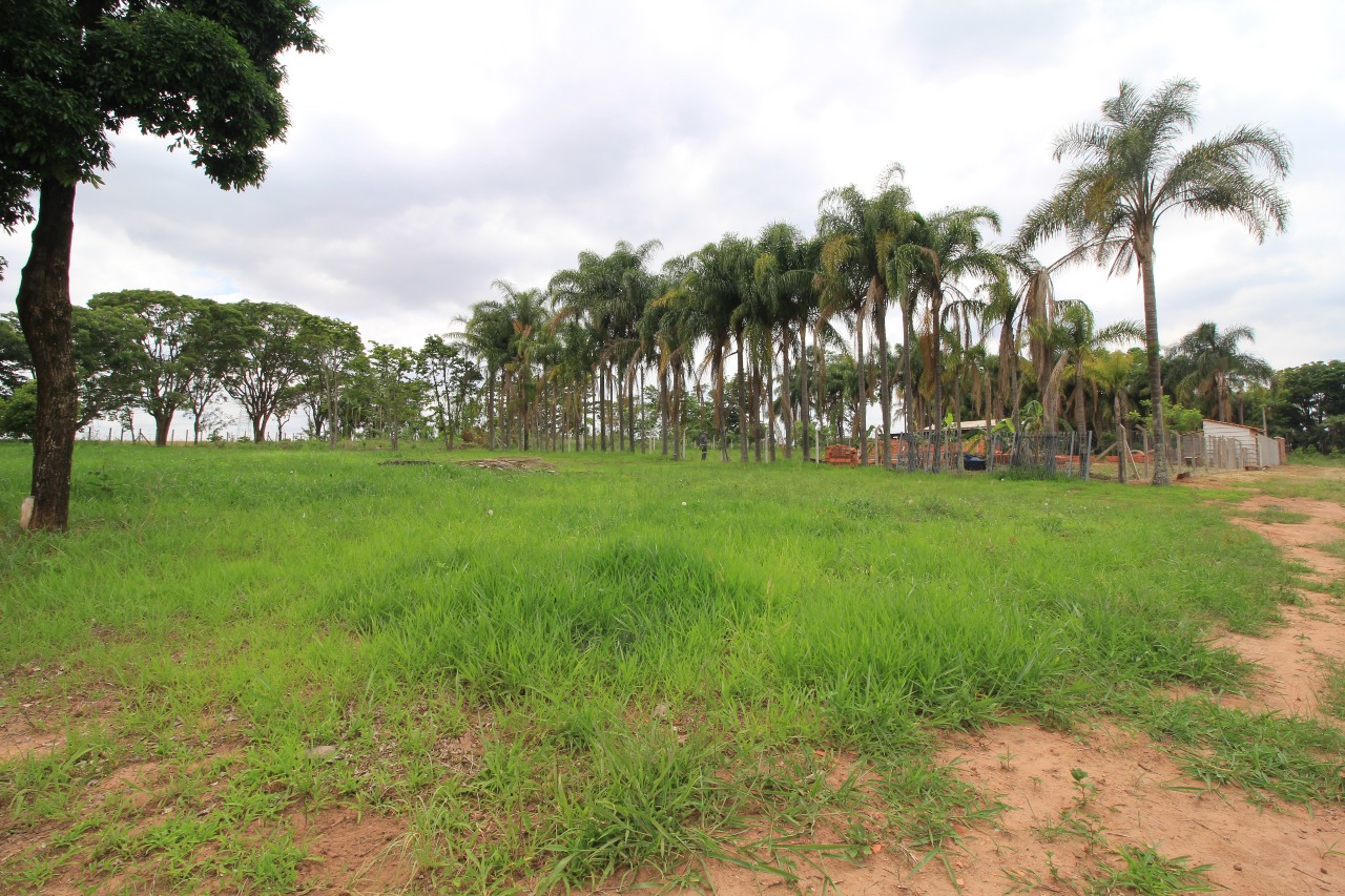 Terreno à venda no bairro SITIO SANTA MARIA: 