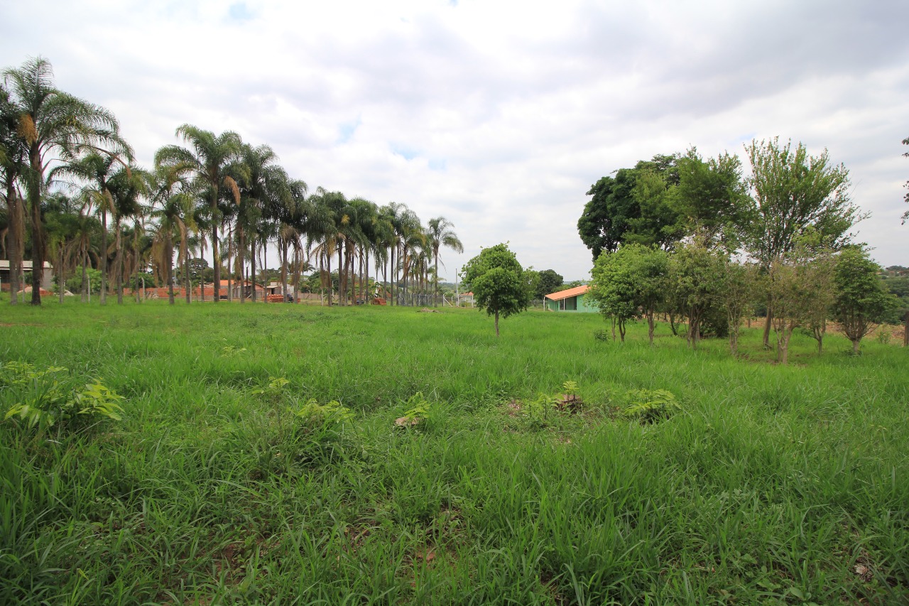 Terreno à venda no bairro SITIO SANTA MARIA: 