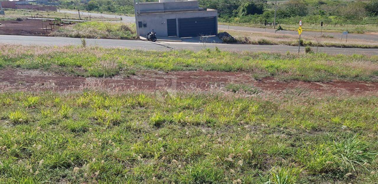 Terreno à venda no bairro Residencial Colinas do Engenho I: 
