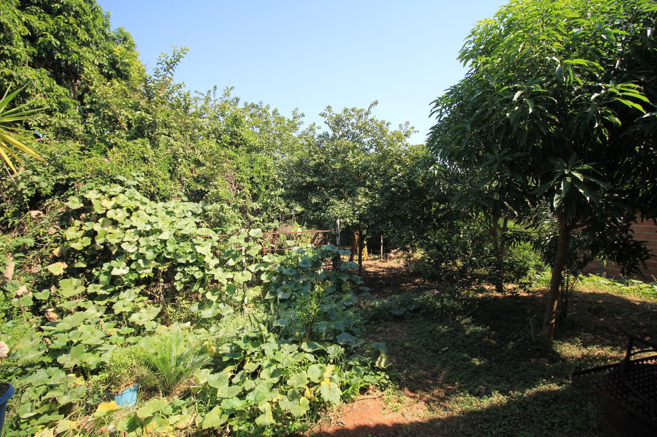 Chácara à venda no bairro Jardim Florença: 