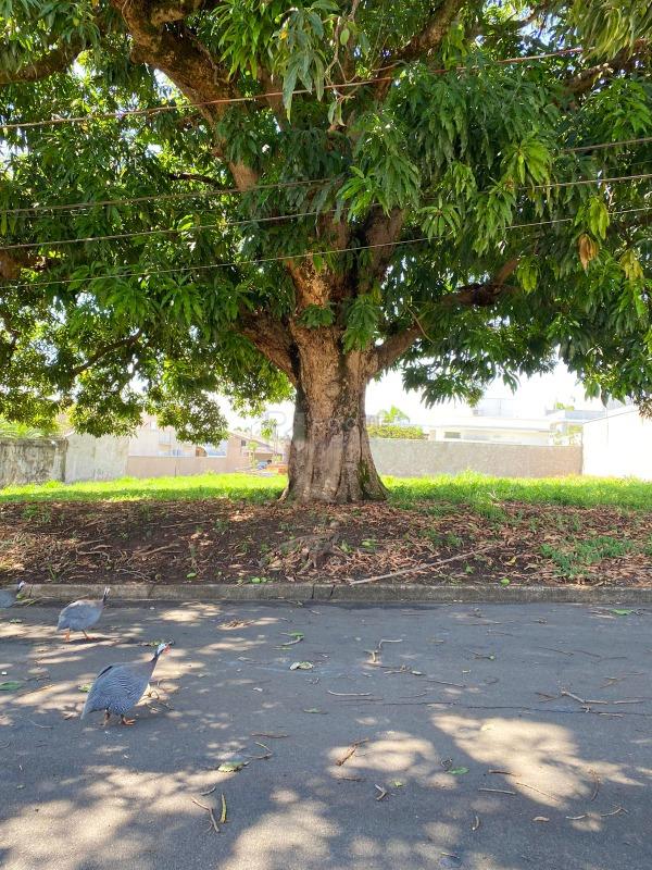 Terreno em condomínio à venda no bairro Portal de São Clemente: 