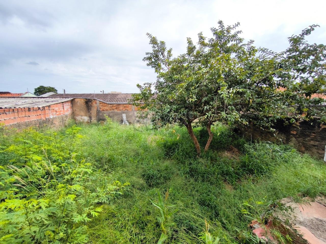 Casa Comercial à venda no bairro Boa Vista: QUINTAL