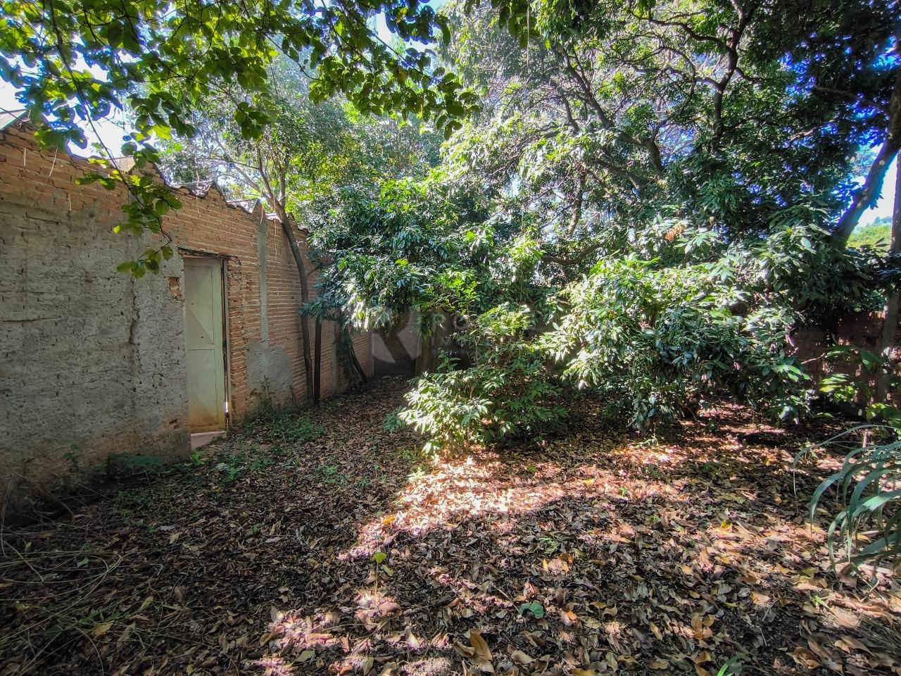 Área à venda no bairro Roseira: 