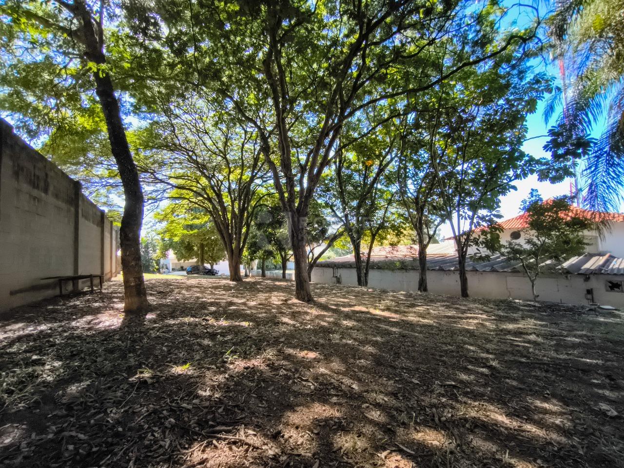 Área à venda no bairro Roseira: 