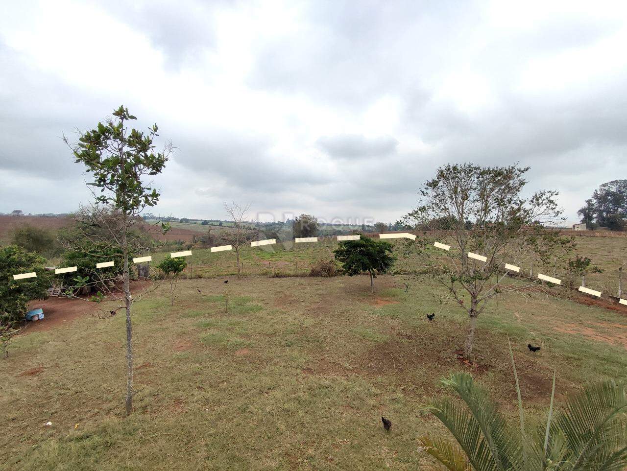 Chácara à venda no bairro Bairro do Pinhal: LIMITE TERRENO