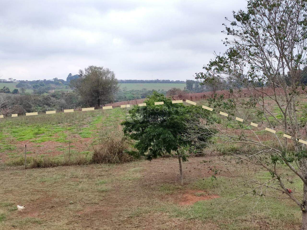 Chácara à venda no bairro Bairro do Pinhal: LIMITE TERRENO