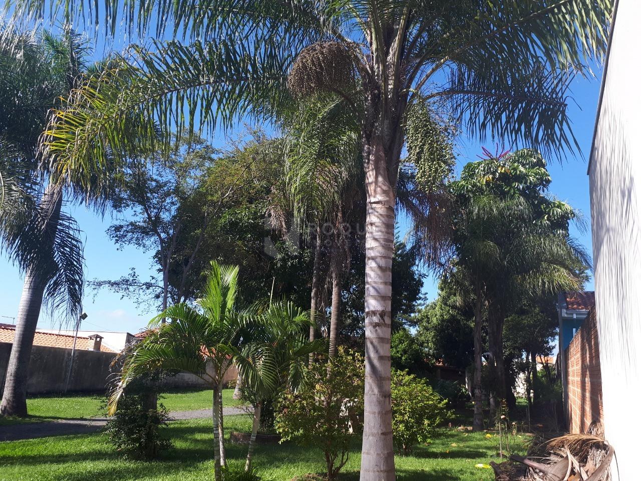 Chácara à venda no bairro Jardim Nova Europa: 