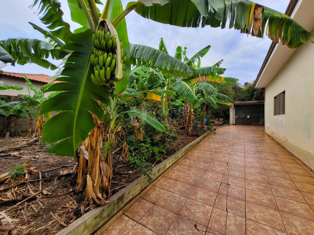 Casa Residencial à venda no bairro Vila Camargo: QUINTAL