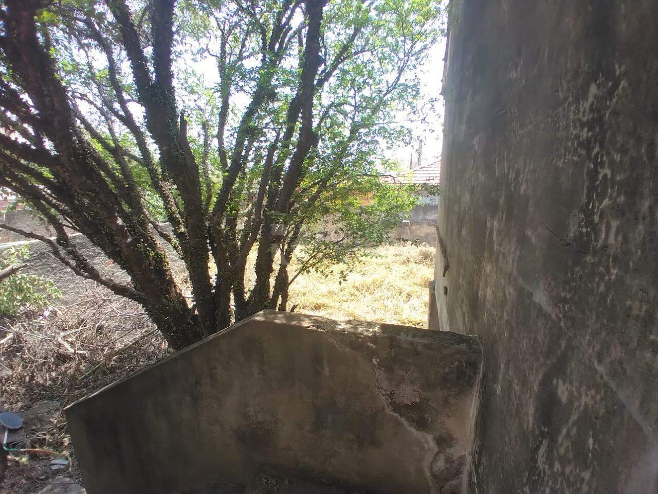 Casa Residencial à venda no bairro Boa Vista: 