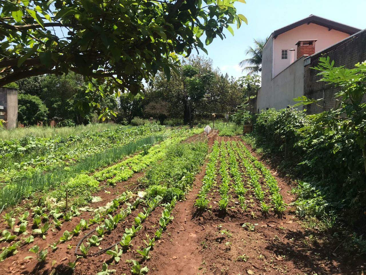 Terreno à venda no bairro Estância Eldorado: 