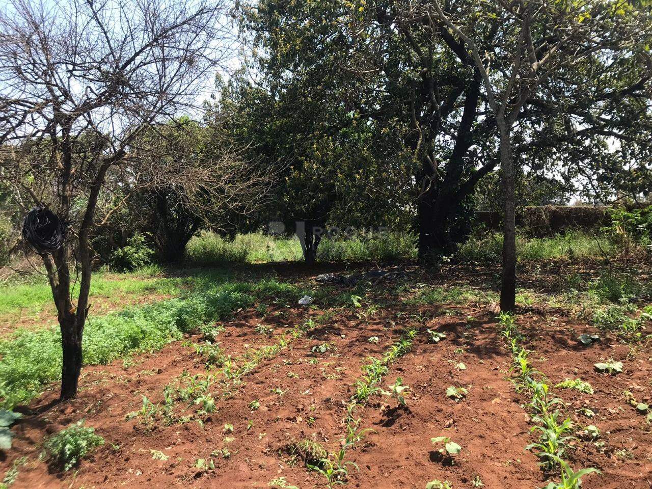 Terreno à venda no bairro Estância Eldorado: 
