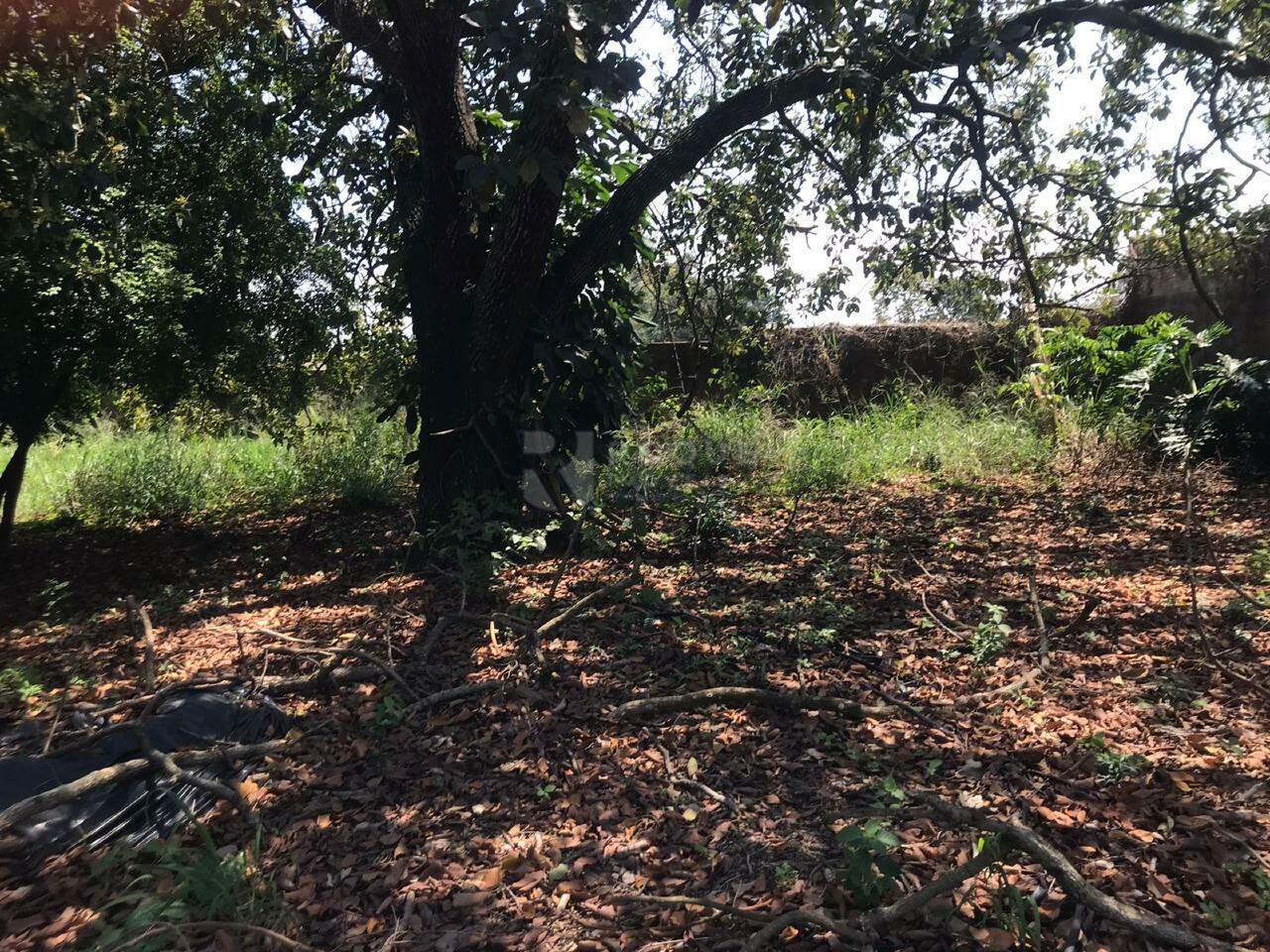 Terreno à venda no bairro Estância Eldorado: 