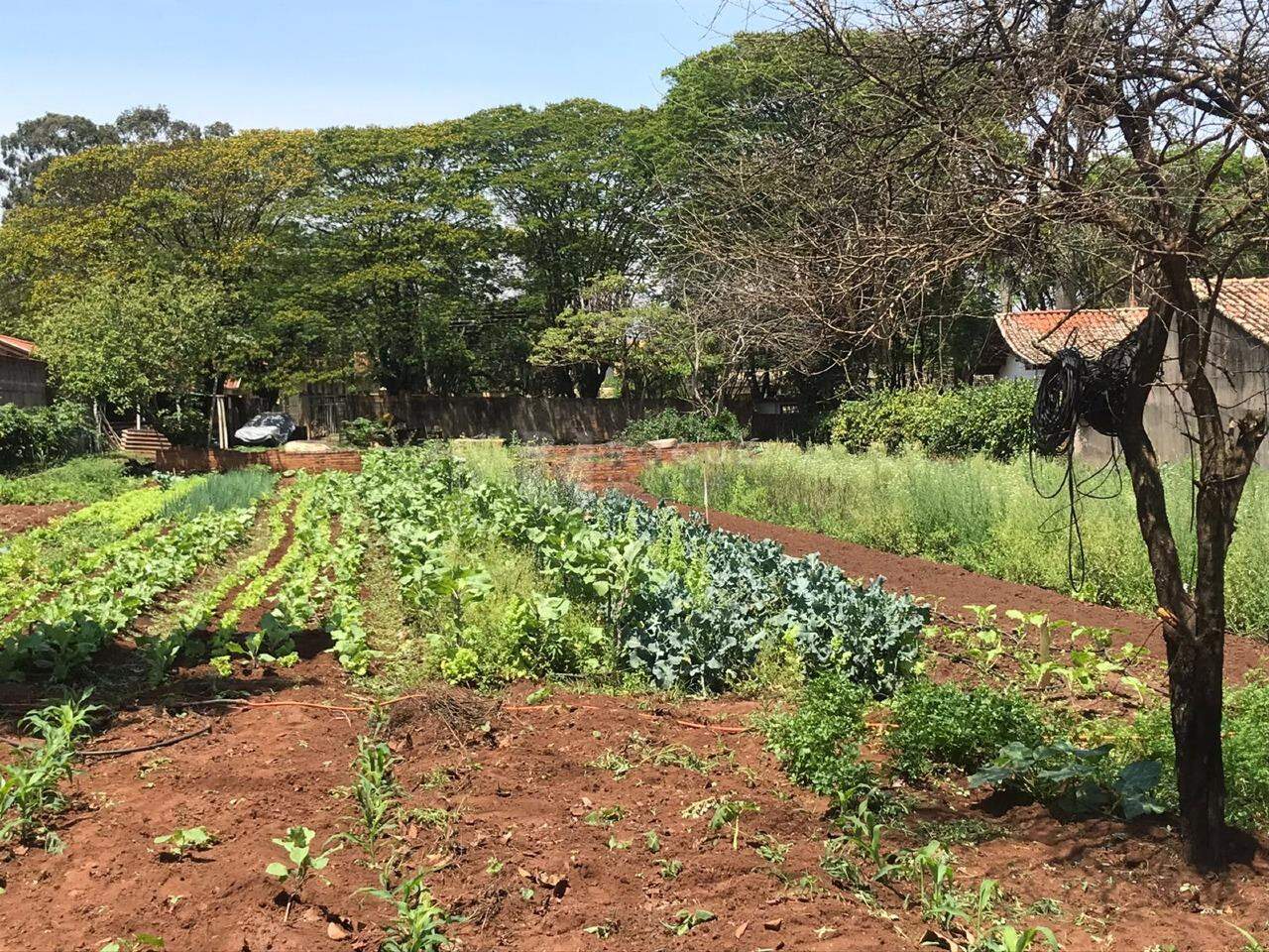 Terreno à venda no bairro Estância Eldorado: 