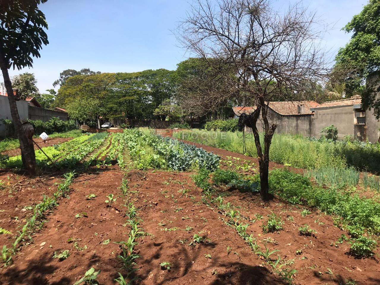 Terreno à venda no bairro Estância Eldorado: 
