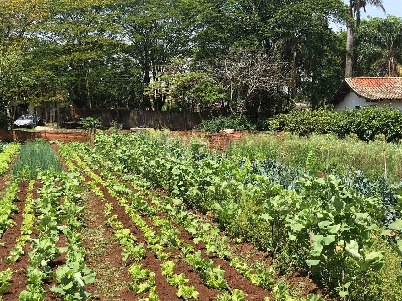 Terreno à venda no bairro Estância Eldorado: 