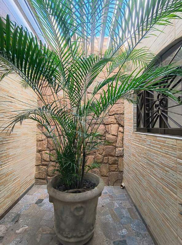 Casa Residencial para aluguel no bairro Jardim Arruda: Jardim de inverno 