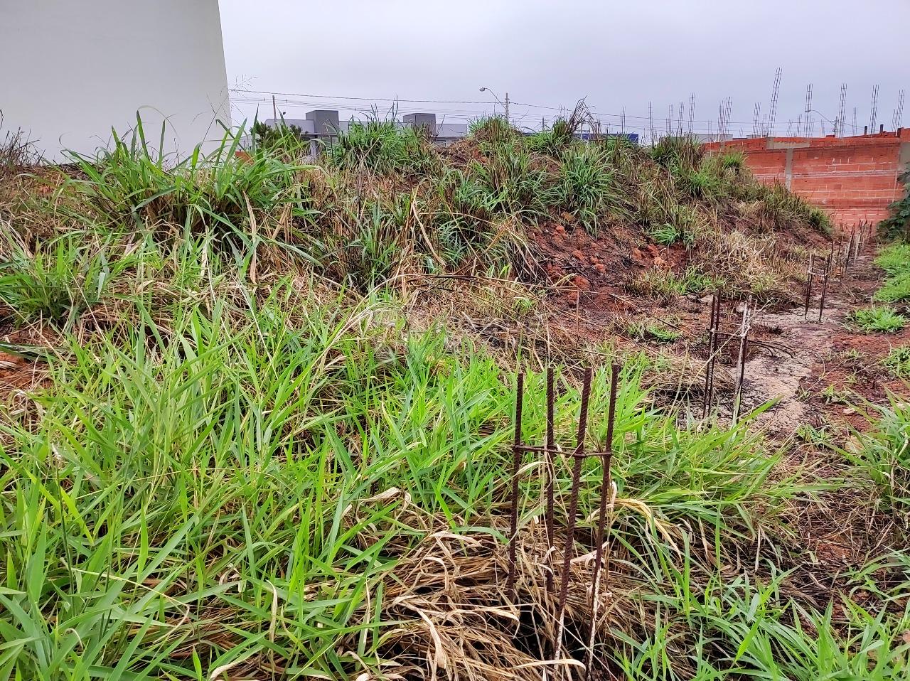 Terreno à venda no bairro Jardim Marajoara: 