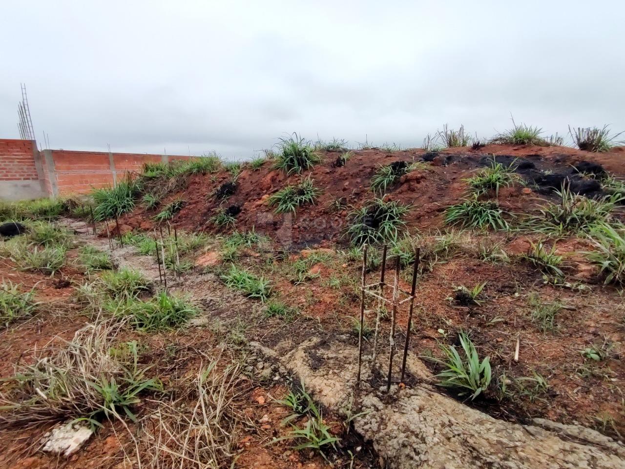Terreno à venda no bairro Jardim Marajoara: 
