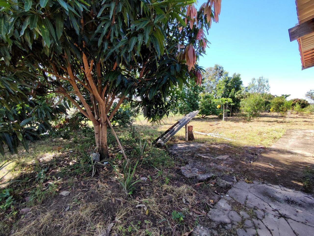 Chácara à venda no bairro Bairro dos Abreus: