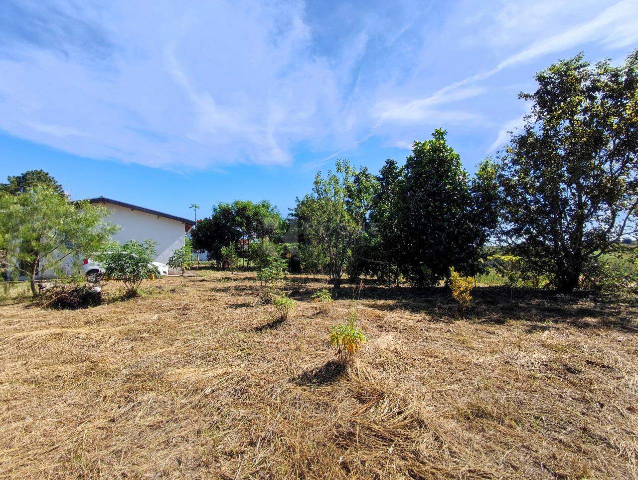 Chácara à venda no bairro Bairro dos Abreus: ÁRVORES FRUTÍFERAS