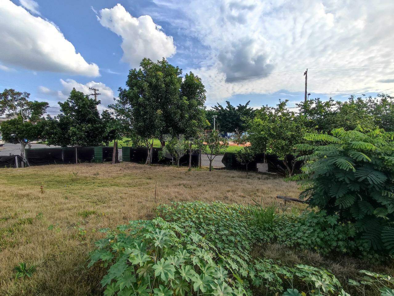Terreno à venda no bairro Jardim Santa Adélia: 