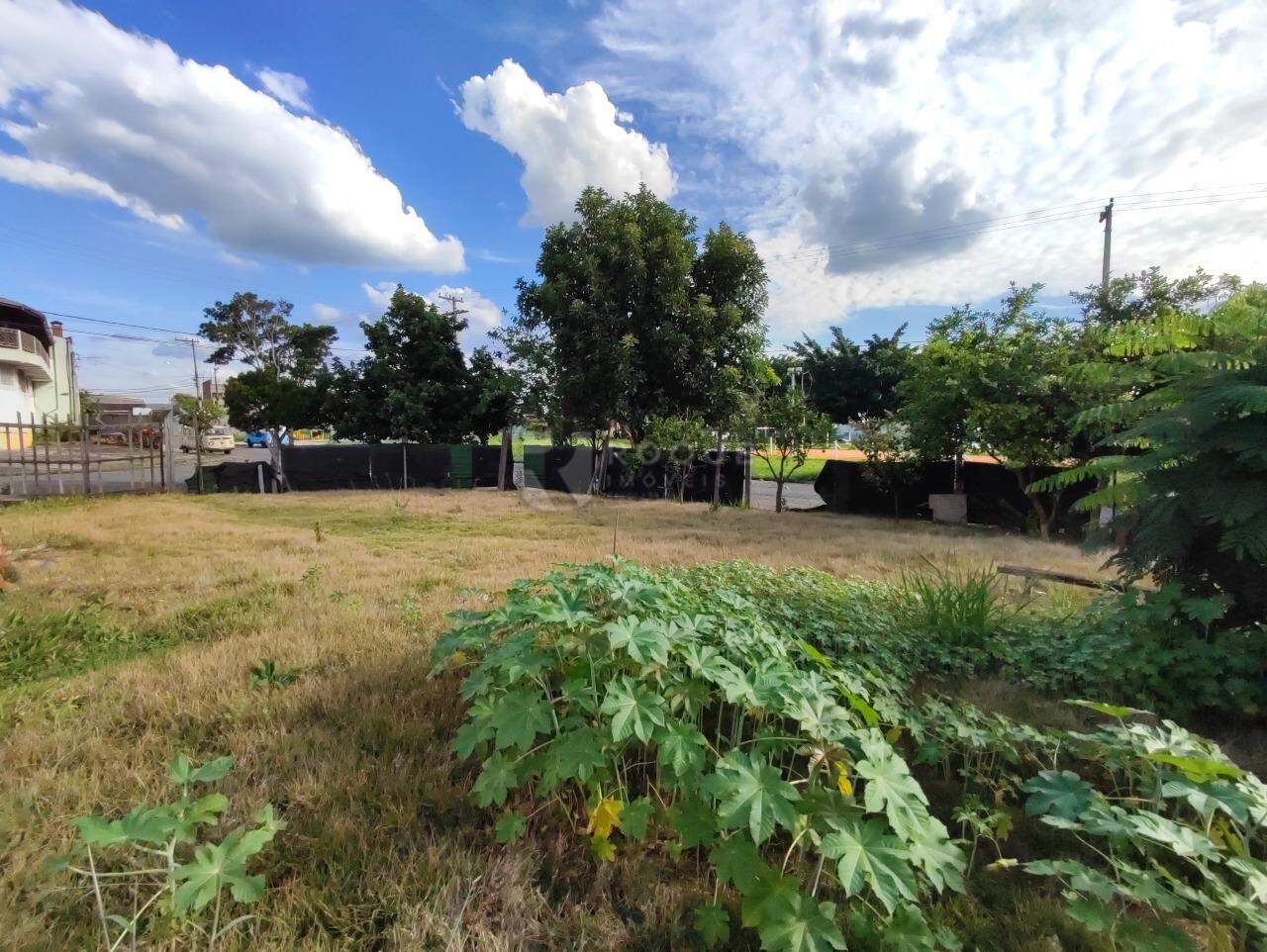 Terreno à venda no bairro Jardim Santa Adélia: 