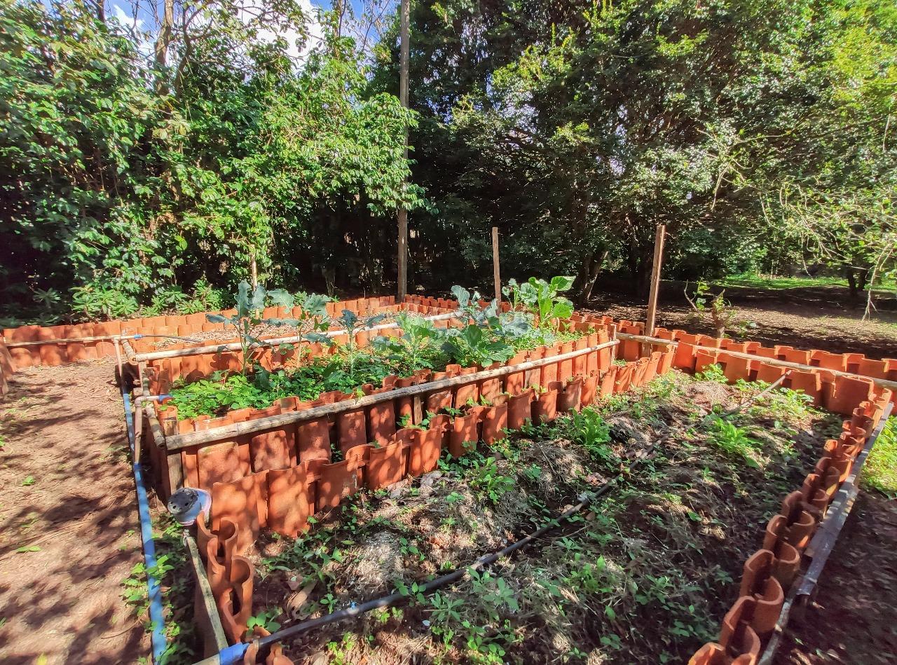 Chácara para aluguel no bairro Parronchi: Horta