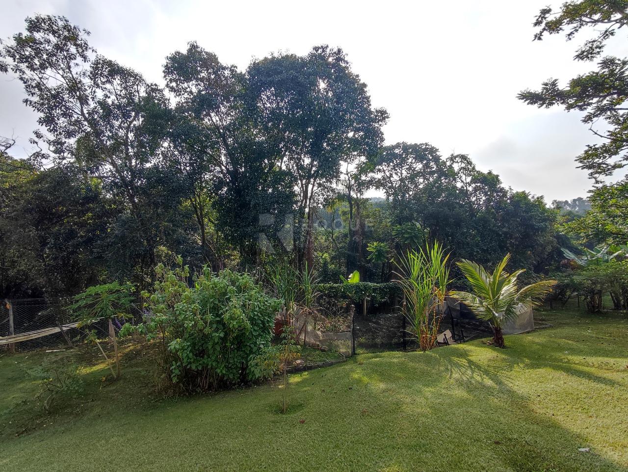 Chácara à venda no bairro Pires de Cima: ÁREA FLORESTAL