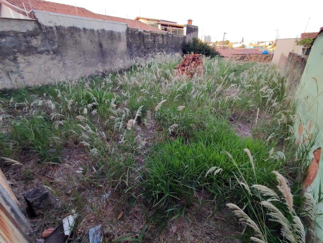 Terreno à venda no bairro Vila Claudia: 