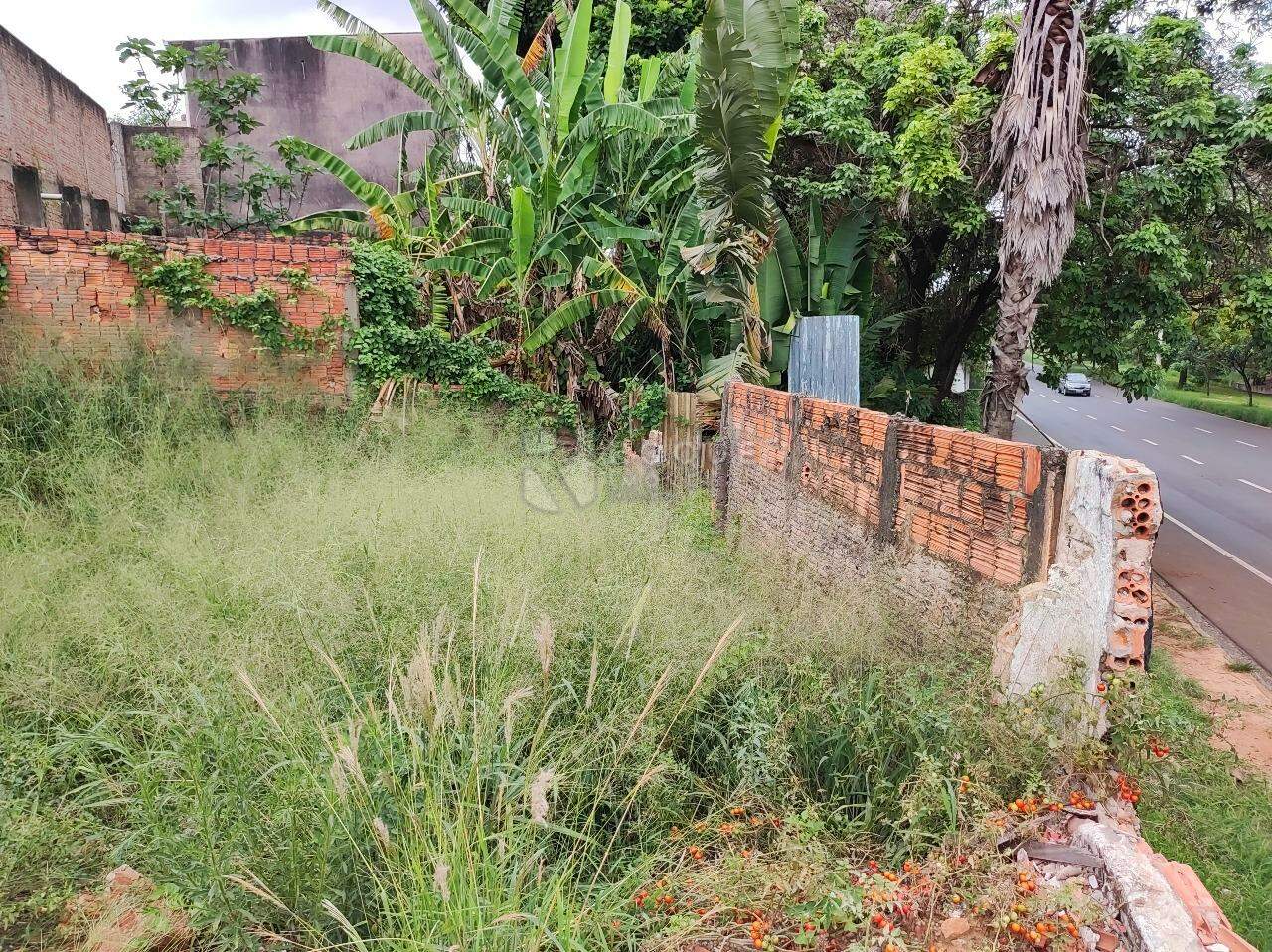 Terreno à venda no bairro Jardim Santa Cecília: 
