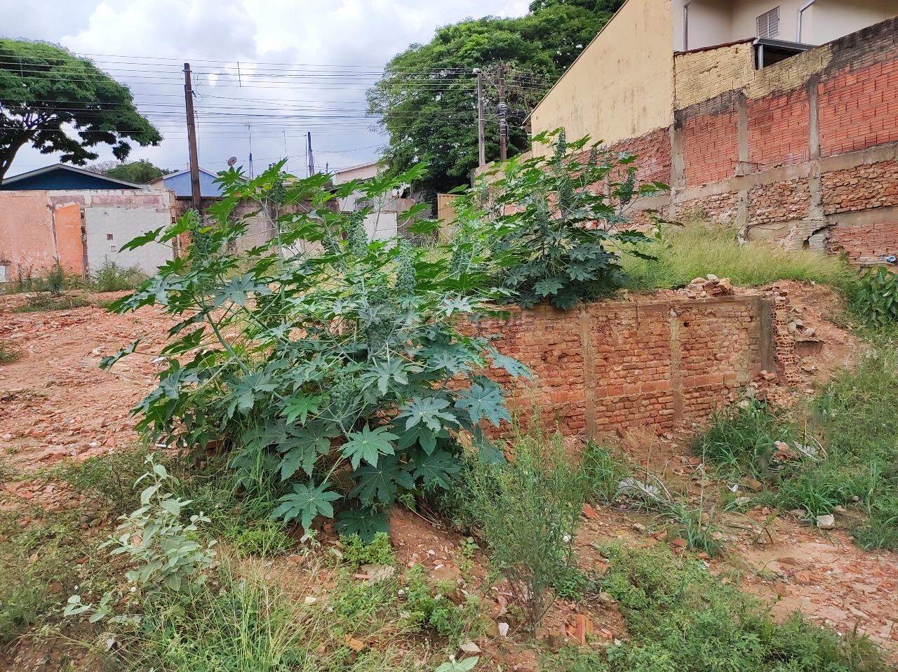Terreno à venda no bairro Jardim Santa Cecília: 
