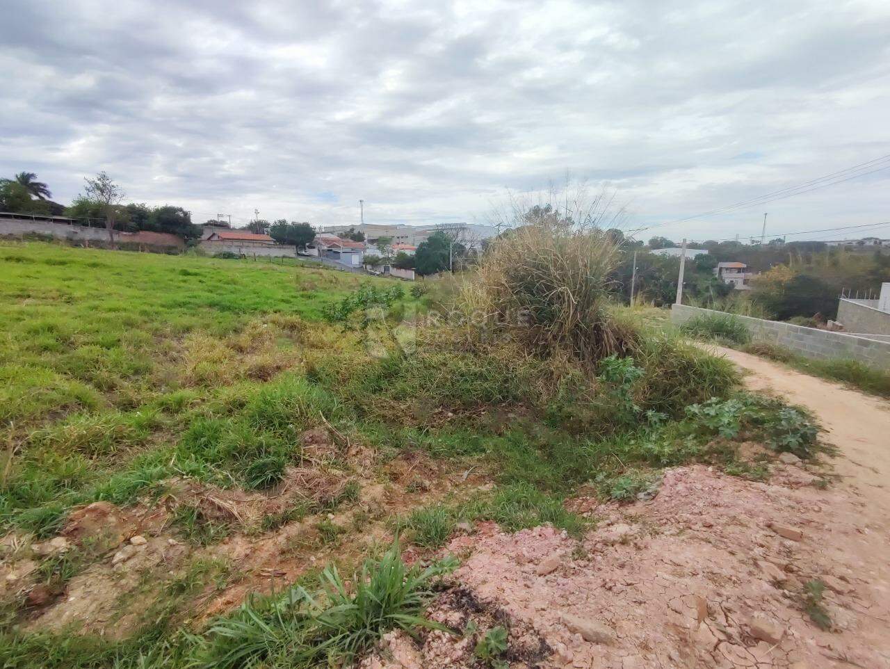 Terreno à venda no bairro Jardim Dom Oscar Romero: 