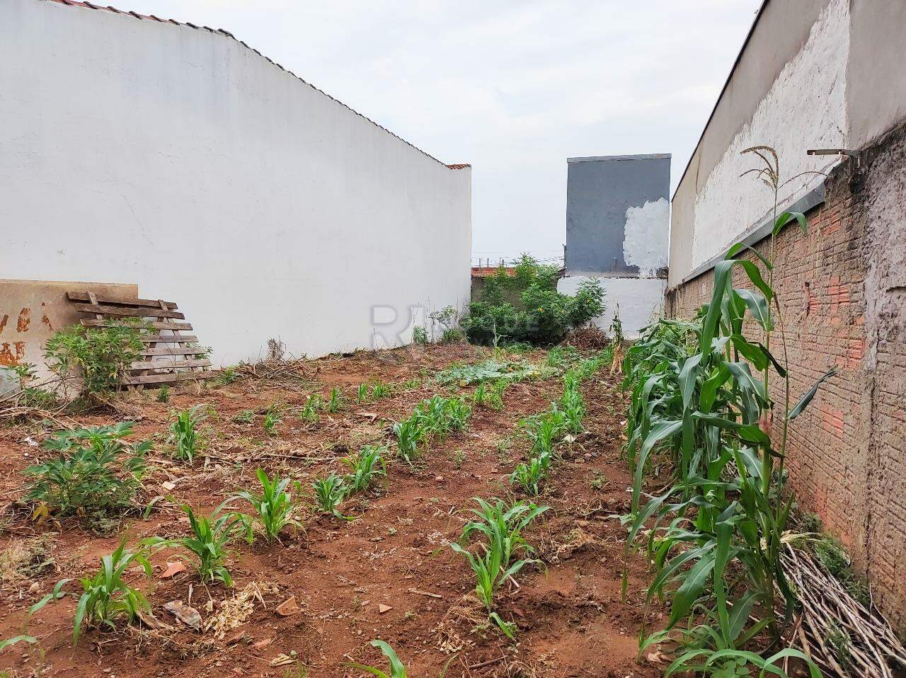Terreno à venda no bairro Jardim Lagoa Nova: 