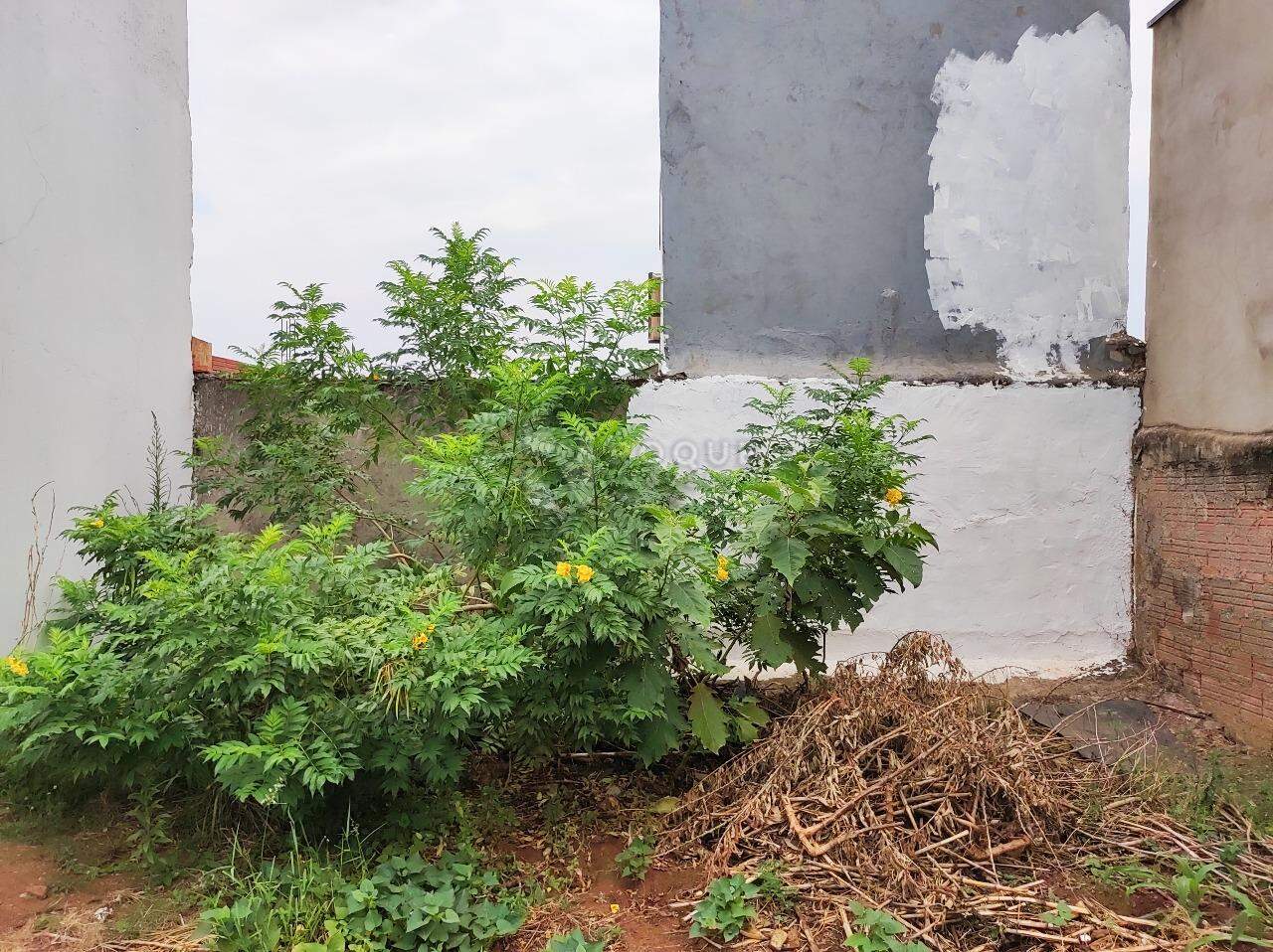 Terreno à venda no bairro Jardim Lagoa Nova: 