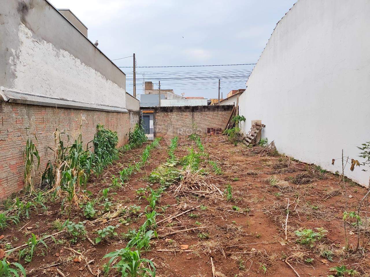 Terreno à venda no bairro Jardim Lagoa Nova: 