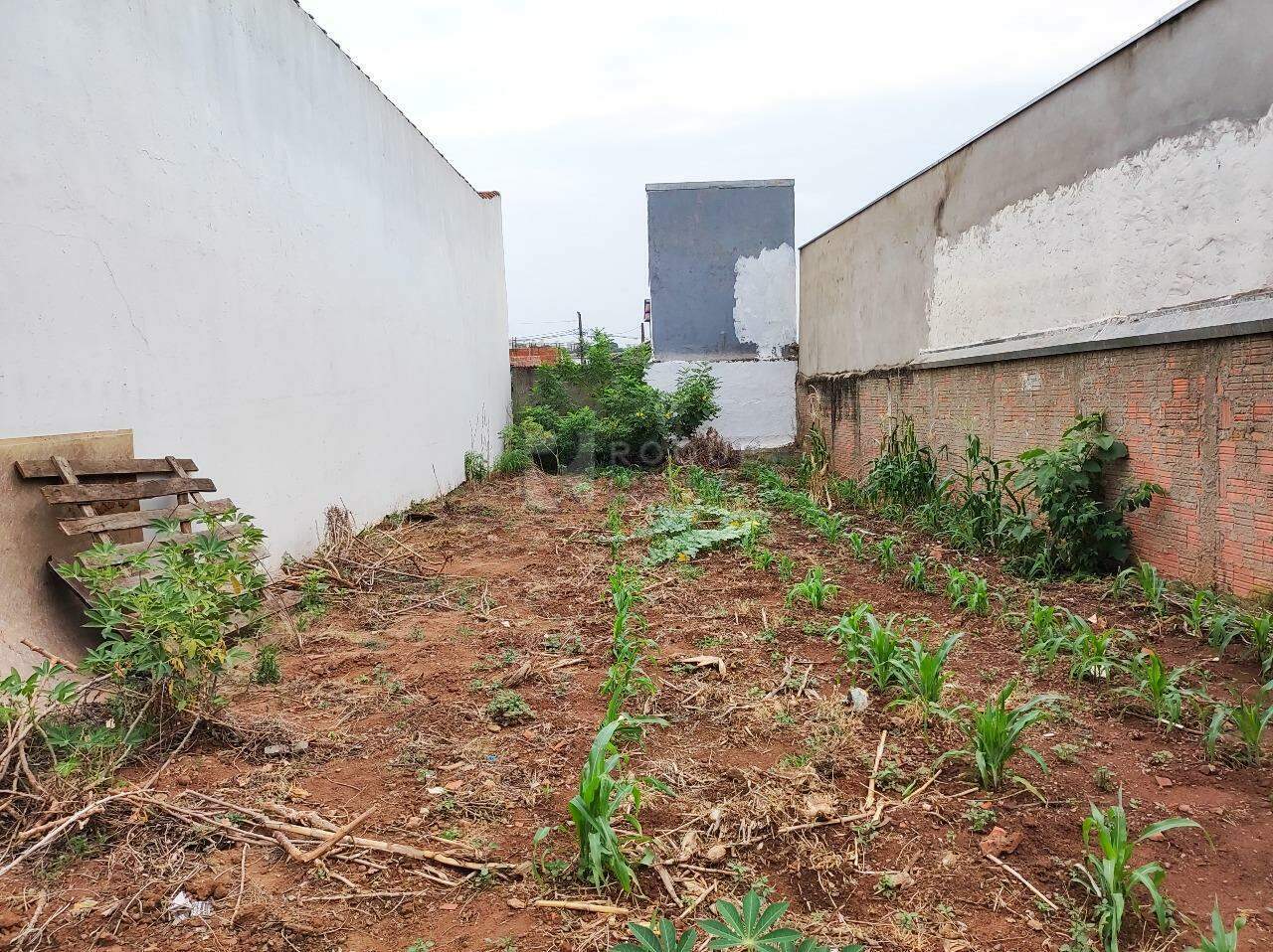 Terreno à venda no bairro Jardim Lagoa Nova: 