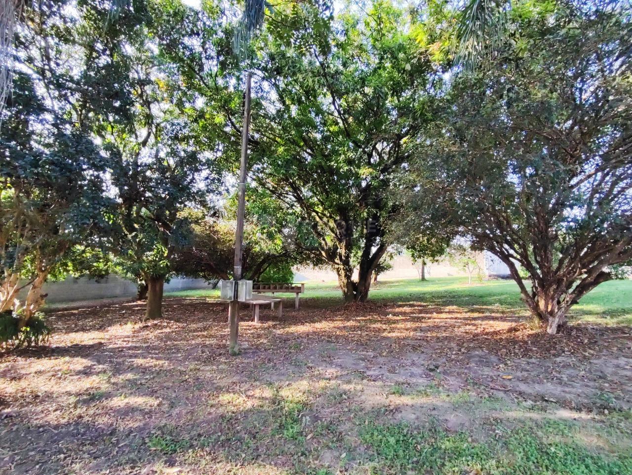 Chácara à venda no bairro Estância Eldorado: ÁRVORES FRUTÍFERAS