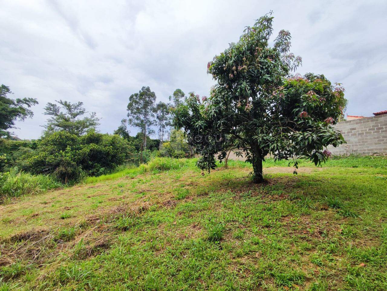 Casa Residencial à venda no bairro Estância Jardim: FUNDOS