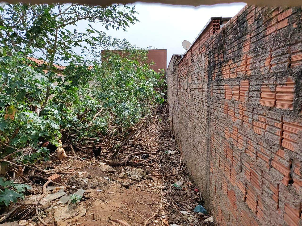 Terreno à venda no bairro Jardim Lagoa Nova: