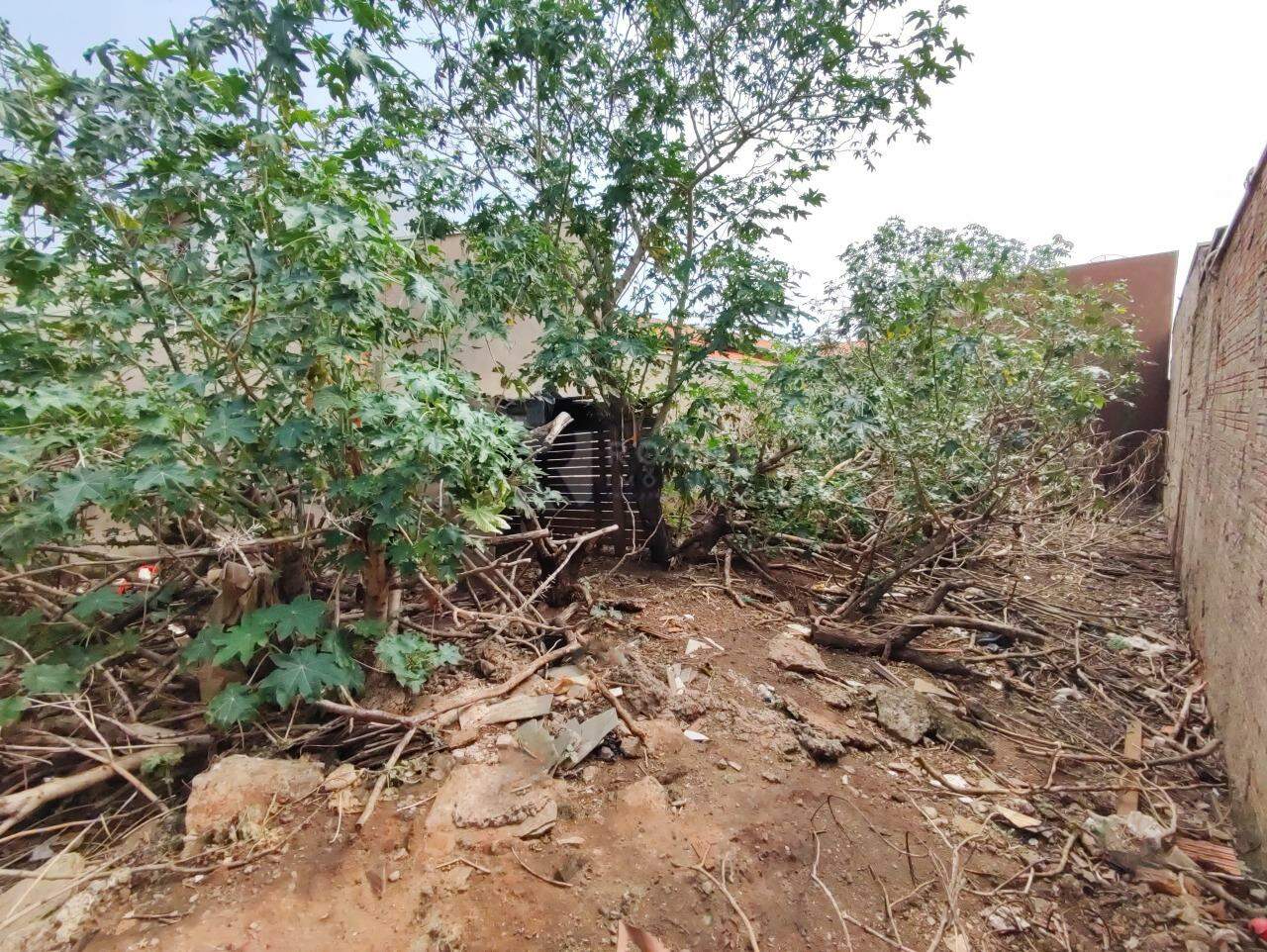 Terreno à venda no bairro Jardim Lagoa Nova: