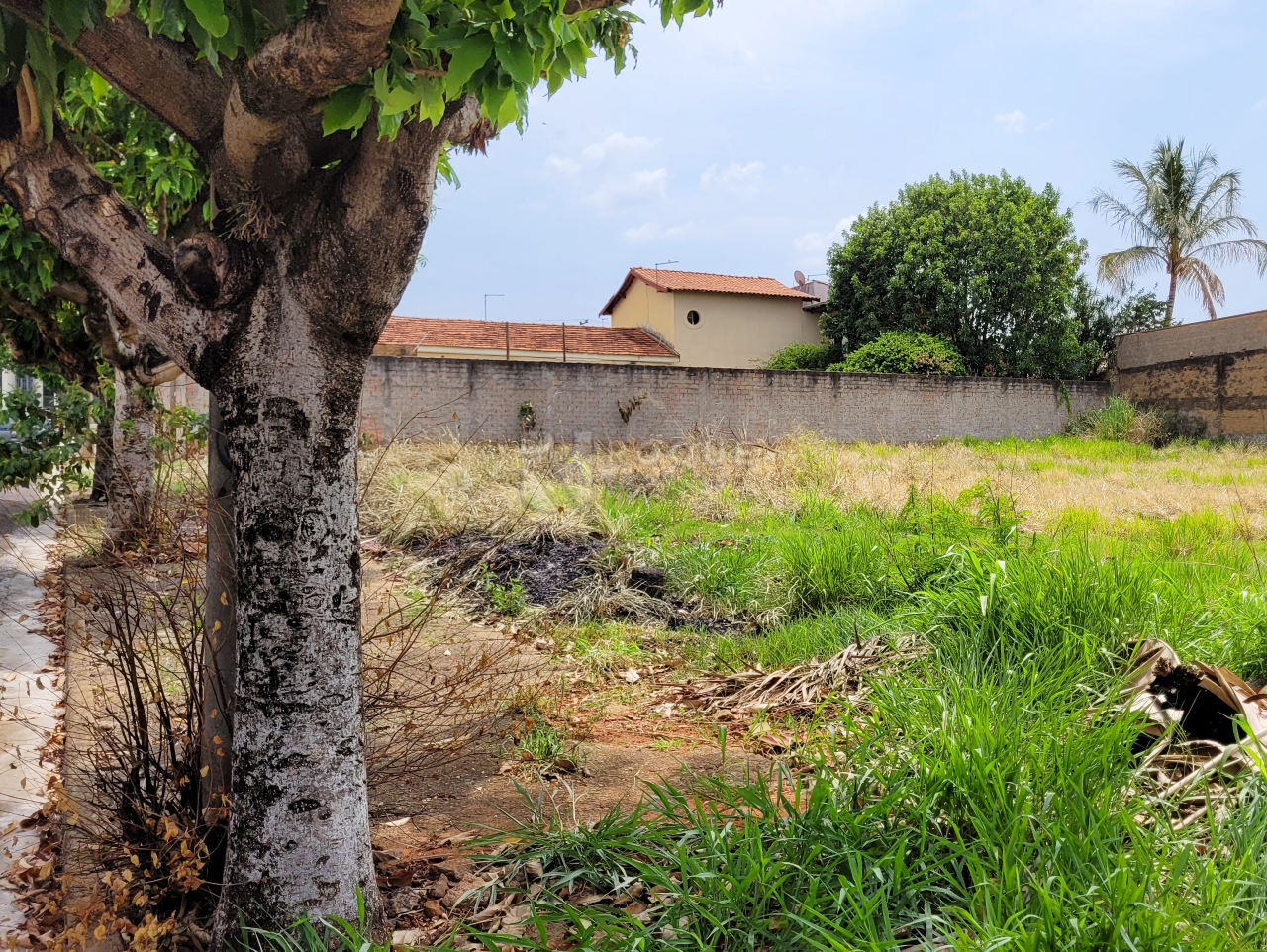 Terreno à venda no bairro Vila Independência: 