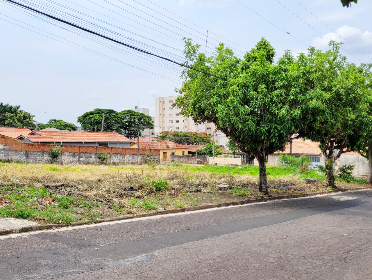 Terreno à venda no bairro Vila Independência: 