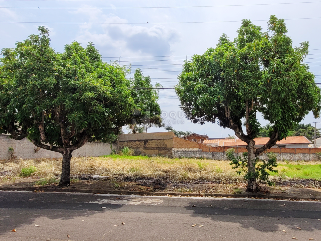 Terreno à venda no bairro Vila Independência: 