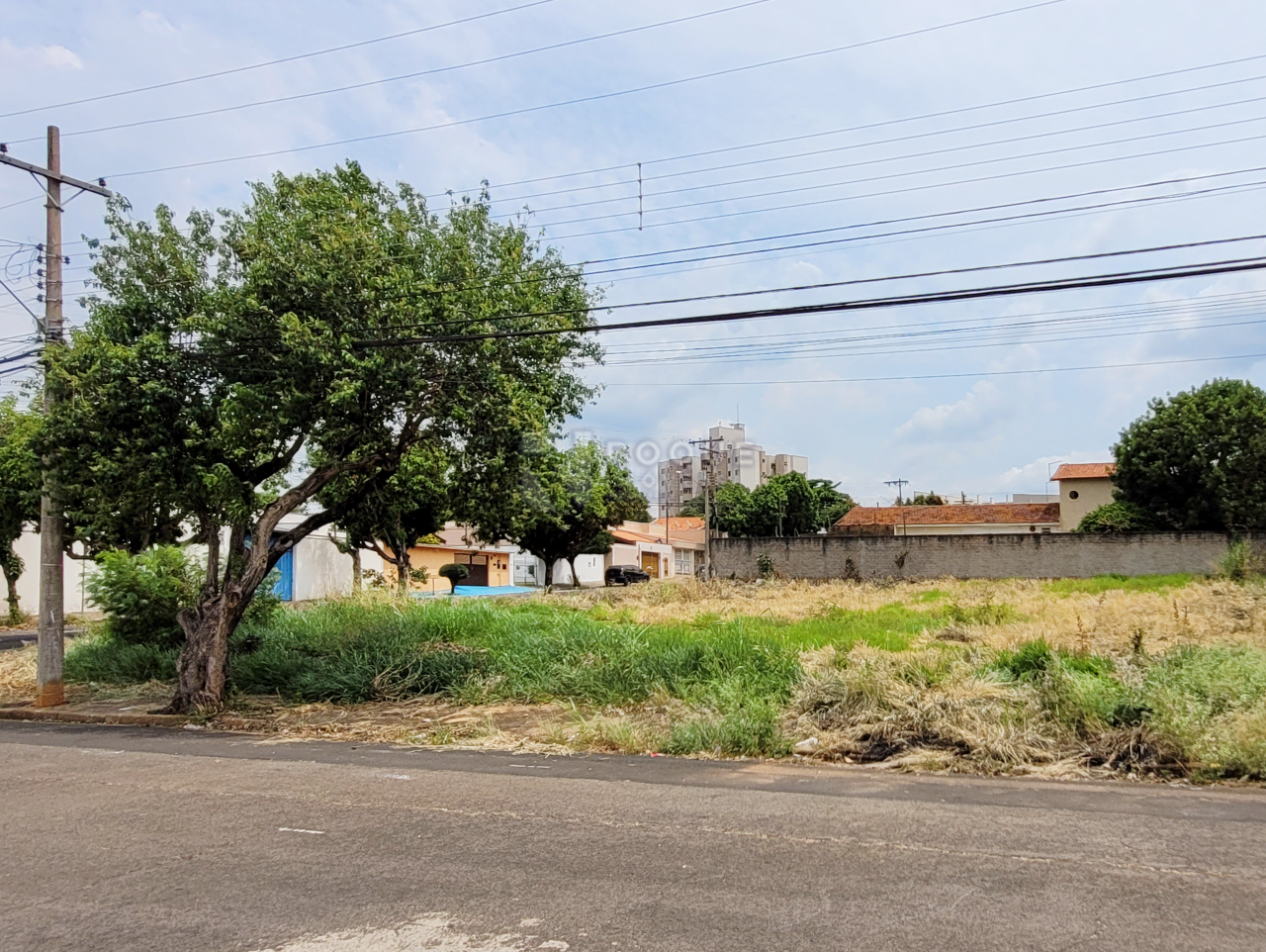 Terreno à venda no bairro Vila Independência: 