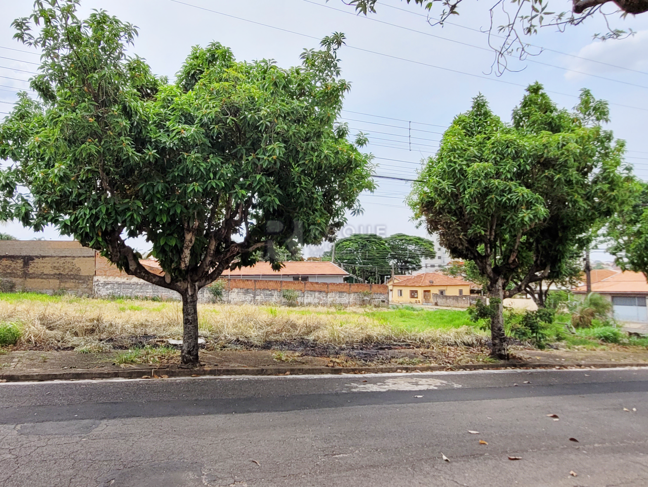 Terreno à venda no bairro Vila Independência: 